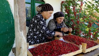 🍇  33 lbs of Red Currants Making Jelly and Pie with Grandma | 2021 Summer