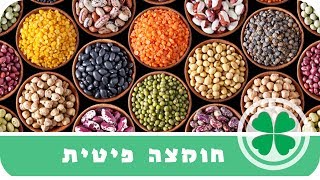 מה היא חומצה פיטית 🍀 והאם צריך להוציא אותה מהאוכל