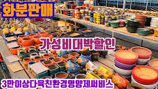 화분판매 가성비대박할인 010 4499 2456 5만이상무료배송 3만이상다육친환경영양제써비스 주문은 문자로주세요