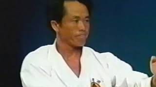 Masanobu Shinjo 30th Anniversary Demonstrations 1