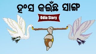 Hansa Kainchha Sanga ହଂସ କଇଁଛ ସାଙ୍ଗ Odia Moral Stories | Sidharth TV