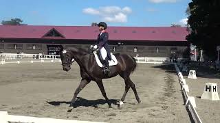 第55回全日本馬術女子選手権大会準決勝　２年　越後りの　ドゥラヌイ