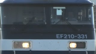 20230929 EF210-331 ECO POWER桃太郎 吹田機関区 63