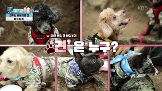 강철 아빠들의 자존심을 건 강아지 줄다리기 대결♨  [펫 비타민] | KBS 210921 방송