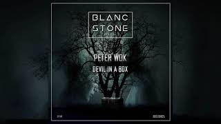 Peter Wok - Friction (Original mix)