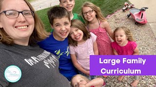 Favorite Homeschool Curriculum For Large Families