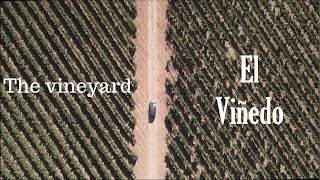 The vineyard trailer