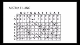 Waterman local algorithm(simplified)