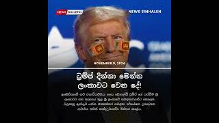 ට්‍රම්ප් දින්නා මෙන්න ලංකාවට වෙන දේ! - Trump | News Sinhalen | Breaking News Sri Lanka