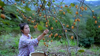 How to Make Countryside Kiwi Wine?