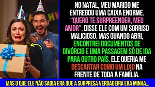 No Natal, Meu Marido me Entregou Uma Caixa Enorme, e não Acreditei Que Dentro Tinha um...