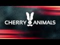 Cherry Animals - Why? (live)