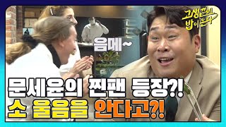 환상적이예요!! 해외 팬(?) 등장에 개인기 폭발시킨 문세윤  I 고생끝에밥이온다 I EP03 I NQQ 채널 I 매주 화요일 저녁 8시