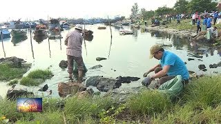 Đà Nẵng: Tổng dọn vệ sinh môi trường toàn thành phố để đón Tết