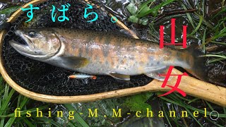 渓流ルアー　渓流ベイトフィネス　　　　　尺ヤマメ　アルデバランbfs         fishman beam Sierra5.2ul