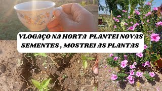 VLOGAÇO NA HORTA PLANTEI NOVAS SEMENTES DE VERDURAS E FRUTÍFERAS MOSTREI AS PLANTAS .#agro #roça