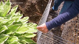 PROJET GABION: MUR DE SOUTENEMENT,  CHATEAUGUAY