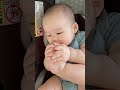 blw 自主进食训练 baby led weaning【5】