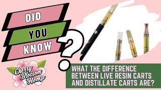 Hemp: Live Resin Carts vs Distillate Carts- Learn The Differences