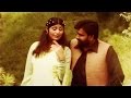 Nadia Gul - Zama Pa Zra Jora Wi Laray