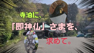 【寺泊 西生寺 】新潟県見附市の結婚式場｜YouTuber｜ザ・ガーデンプレイス小林樓(新潟　長岡　中越