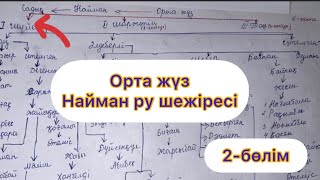 ОРТА ЖҮЗ НАЙМАН РУЫ✅ТОЛЫҚ ШЕЖІРЕ‼️2-БӨЛІМ #шежіре #тарих #найман #найманруышежіресі