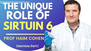 The Unique Role Of Sirtuin 6 | Prof Haim Cohen Ep 1