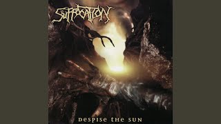 Despise the Sun