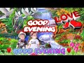 good evening status🌹 good evening love status 🌷 whatsapp status