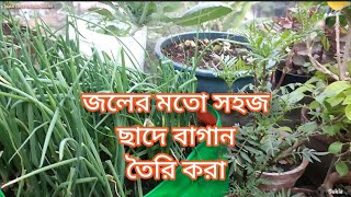 খুবই সহজ পদ্ধতিতে কম খরচে বাগান তৈরি করা জলের মতো সহজ কাজ