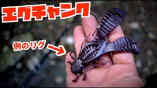 【バス釣り】レイドジャパン「エグチャンク」をあのリグで使ったら〜 #バス釣り