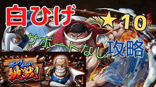 【トレクル】ガープからの挑戦！白ひげ★10　攻略　サポートなしでクリアする方法！