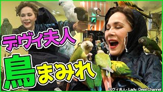 デヴィ夫人、鳥の巣になる 【浅草街ブラ】