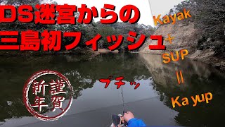 【DS】初バス＆奥深きダウンショット道【誰か教えて！】