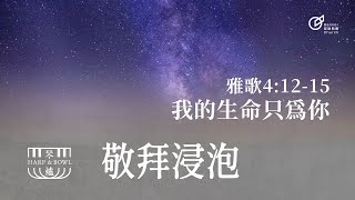 20230617 | 敬拜浸泡 | 我的生命只為你