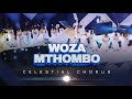 Celestial Chorus Vol.2 - Woza Mthombo