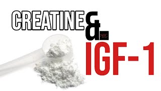 EX-e: Does Creatine raise Insulin-like Growth Factor (IGF) in Muscle?