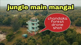 Jungle main mangal||chandaka forest drone shot||MUODIA