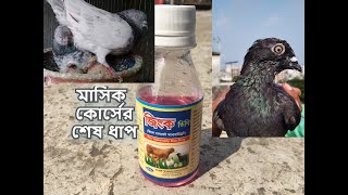 জিংক কতটা কাজ করে কবুতরের ক্ষেত্রে জানুন | |কবুতরের জিংক কোর্স