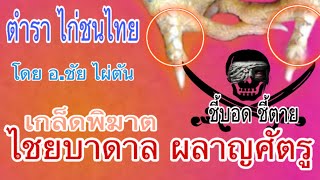 เกล็ดพิฆาต ไชยบาดาล ชี้บอด ชี้ต_ย #ตำราก่ายโชนไทย #โดย อ.ชัย ไผ่ตัน