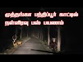 Midnight Muthanga Bandhipur Forest Bus Journey | Jolly Trip