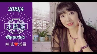 水瓶座4月愛情占卜❤️咪咪愛塔羅♒️Aquarius April 2019 Love Tarot Reading