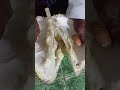 pertama kali makan durian montong thailand ternyata rasanya