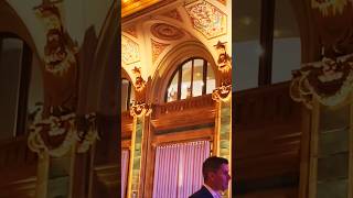 Furry's crash wedding #funny #comedy #viral #furry #wedding #fail
