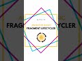 fragment Lifecycle In Android Example Android Activity Lifecycle Example Official Video