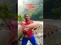 Ikan MAHSEER SIRIP MERAH Paling langka didunia #mancing #ikansultan #sorts