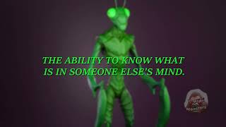 Mantis Aliens - Insectoids, are among the many different types of aliens reported by abductees