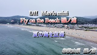 Fly on the Beach磯ノ浦 vol 2　和歌山県和歌山市　磯ノ浦海水浴場　Mavic miniによる空撮