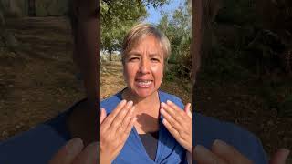 Discover the Anandamaya Kosha: Your Bliss Body | Dru Yoga with Chandra