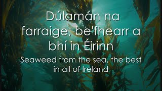 Dúlaman - Lyrics  Translation - Celtic Woman